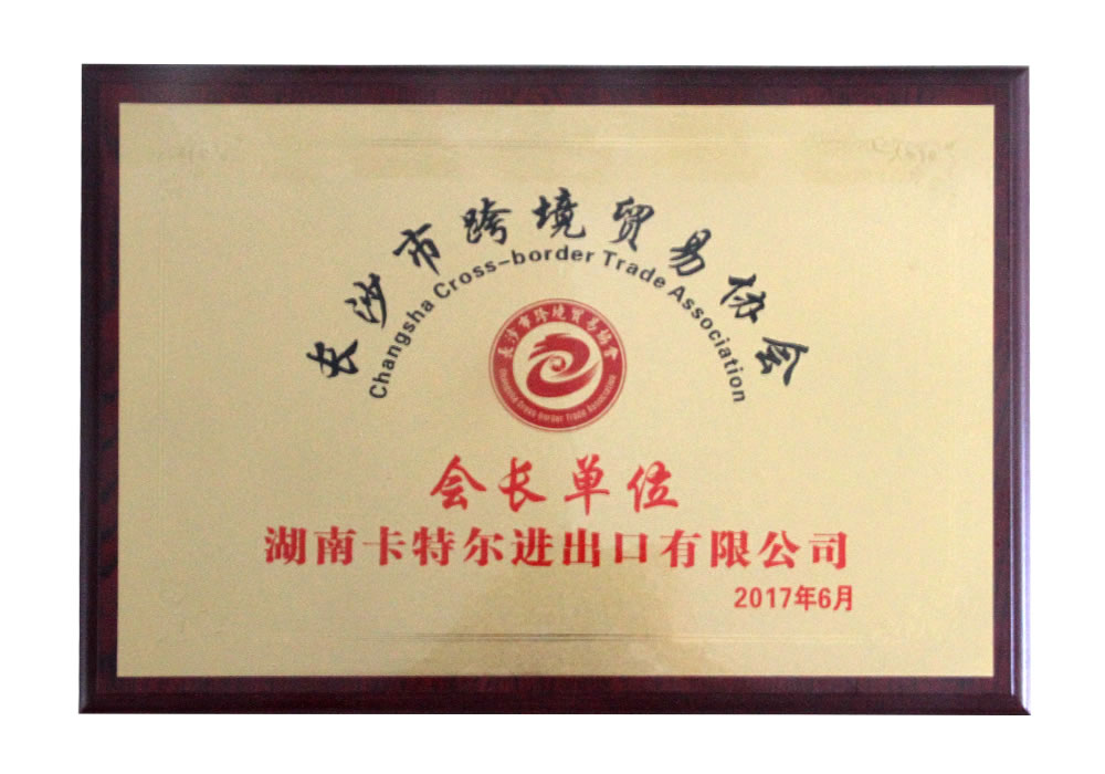 President Company of Changsha Cross-border Trade Association 